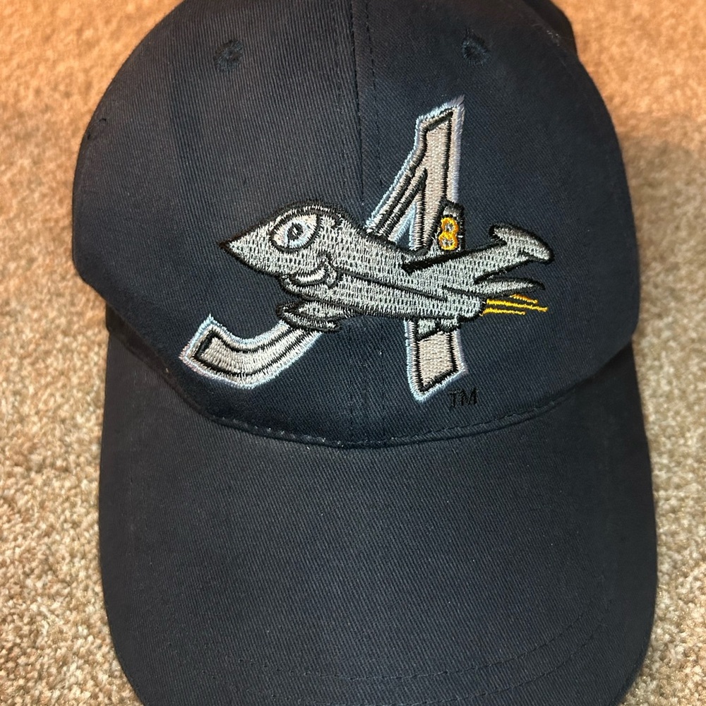 Aberdeen IronBirds minor league baseball cap